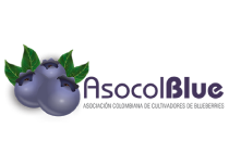 Imagen del logo del Cliente Asocolblue